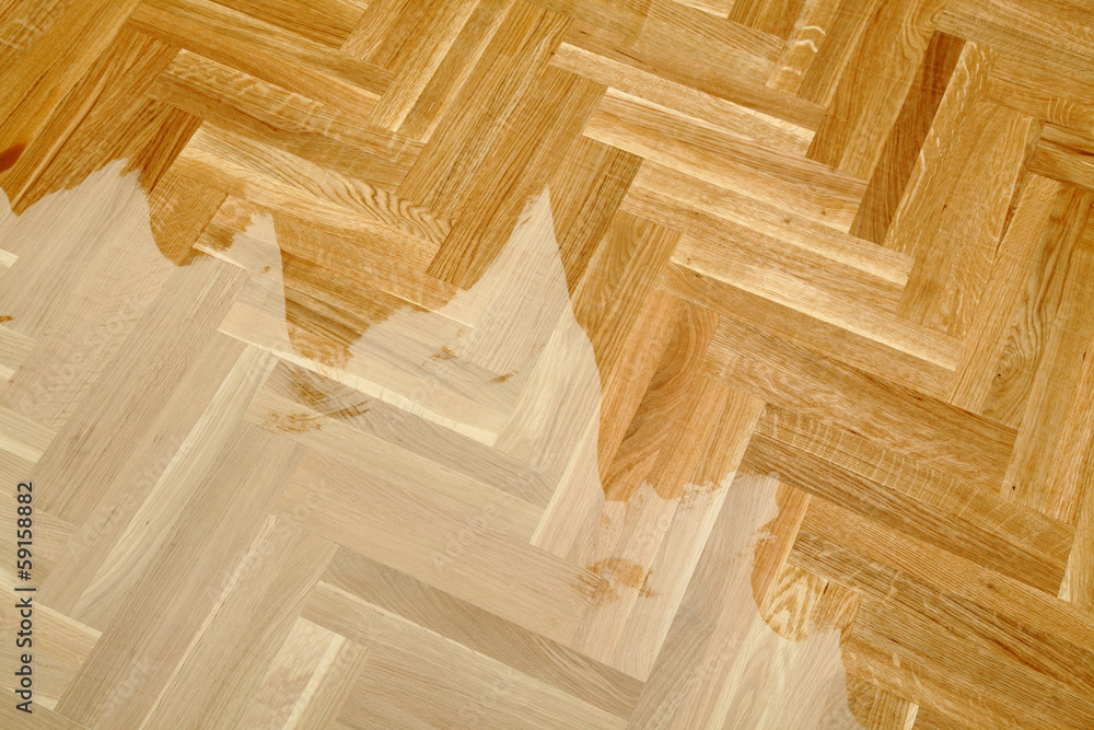 Varnishing of oak parquet floor, first layer of lacquer - obrazy, fototapety, plakaty 