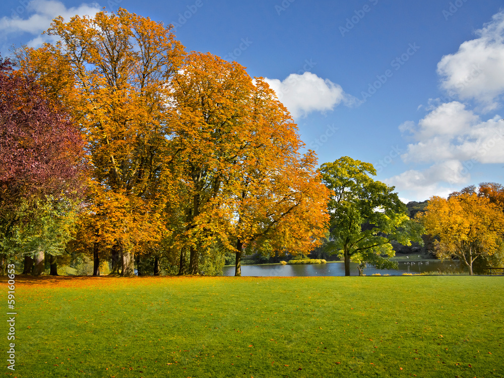 Naklejka premium Autumn Landscape.