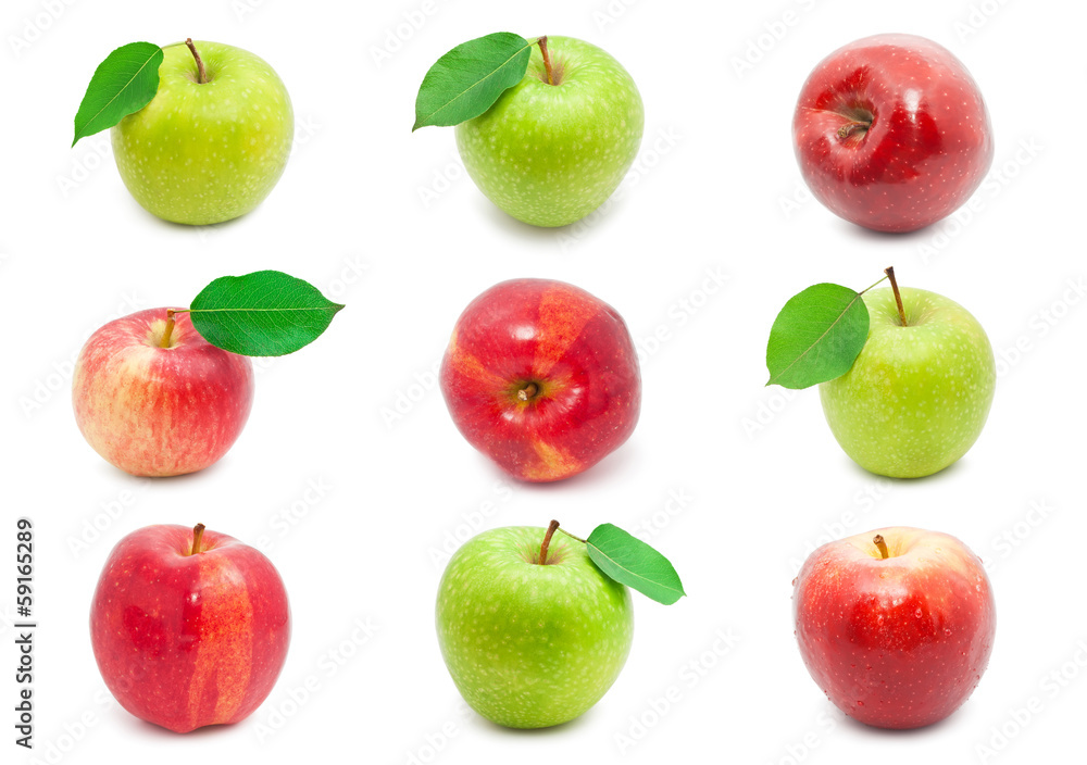 Apples Apples