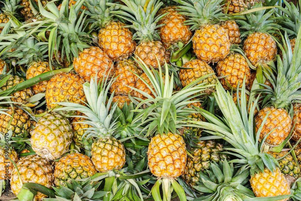 pineapple tropical fruit pineapple tropical fruit