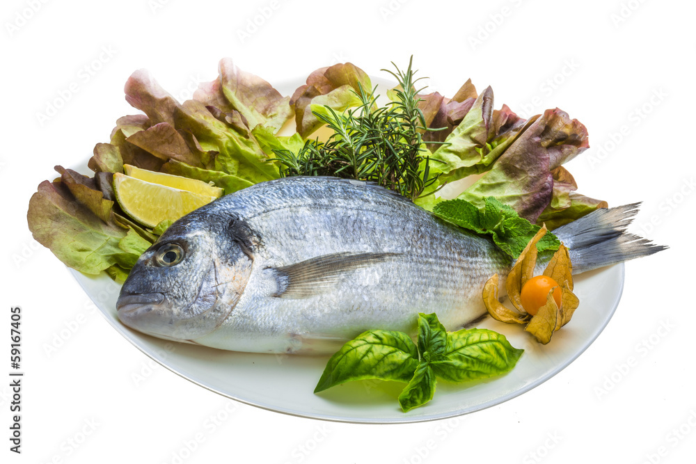 Fresh raw dorada Fresh raw dorada