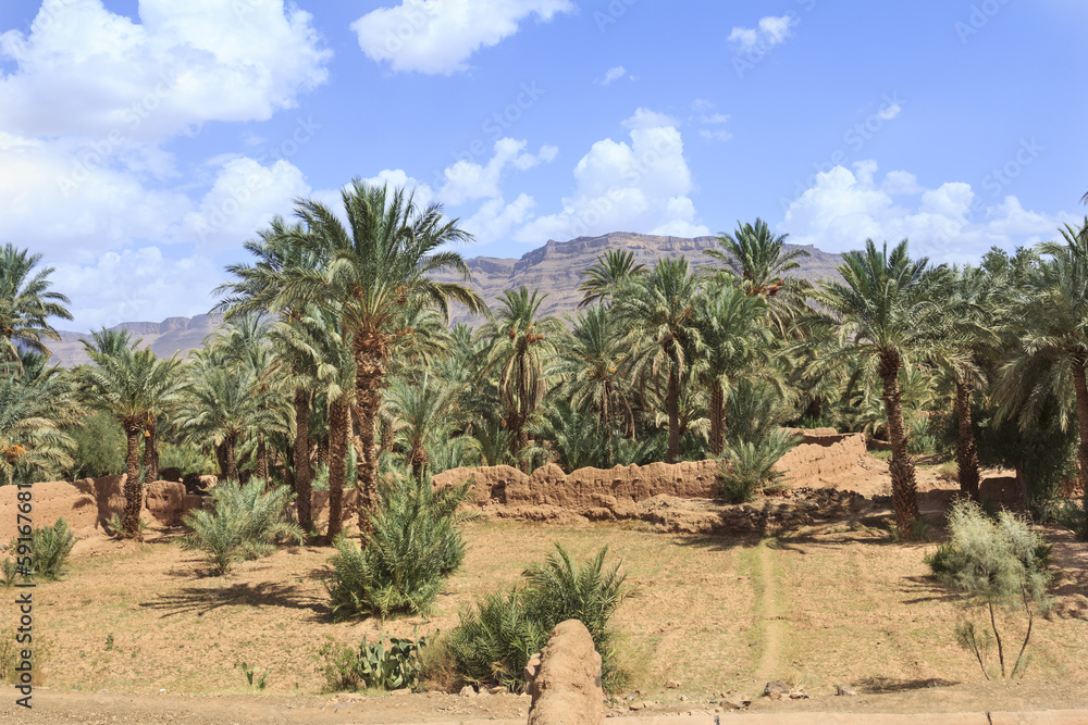 Morocco landscape, a oasis with date palms near Ouarzazate Morocco landscape, a oasis with date palms near Ouarzazate