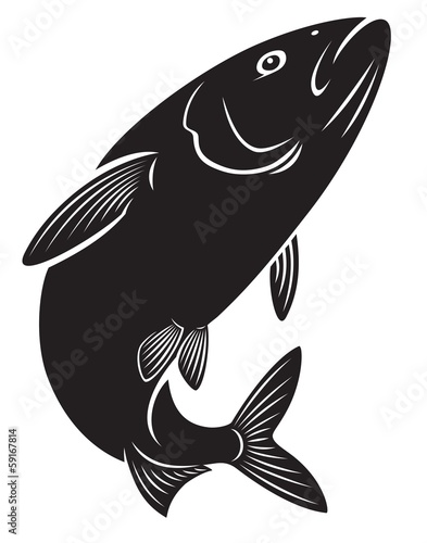 herring