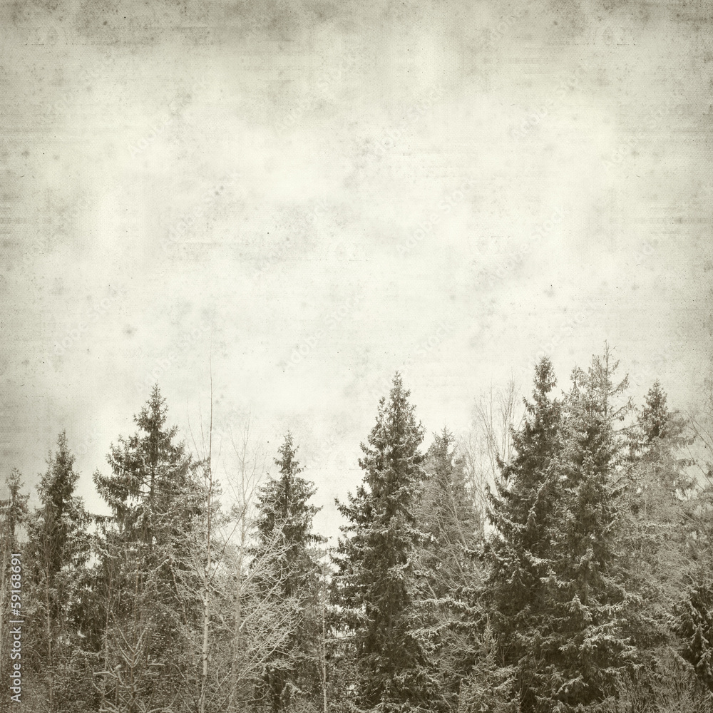 Fototapeta premium textured old paper background