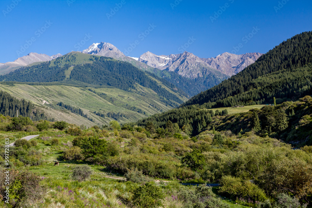 Landscape of high Tien Shan mountains