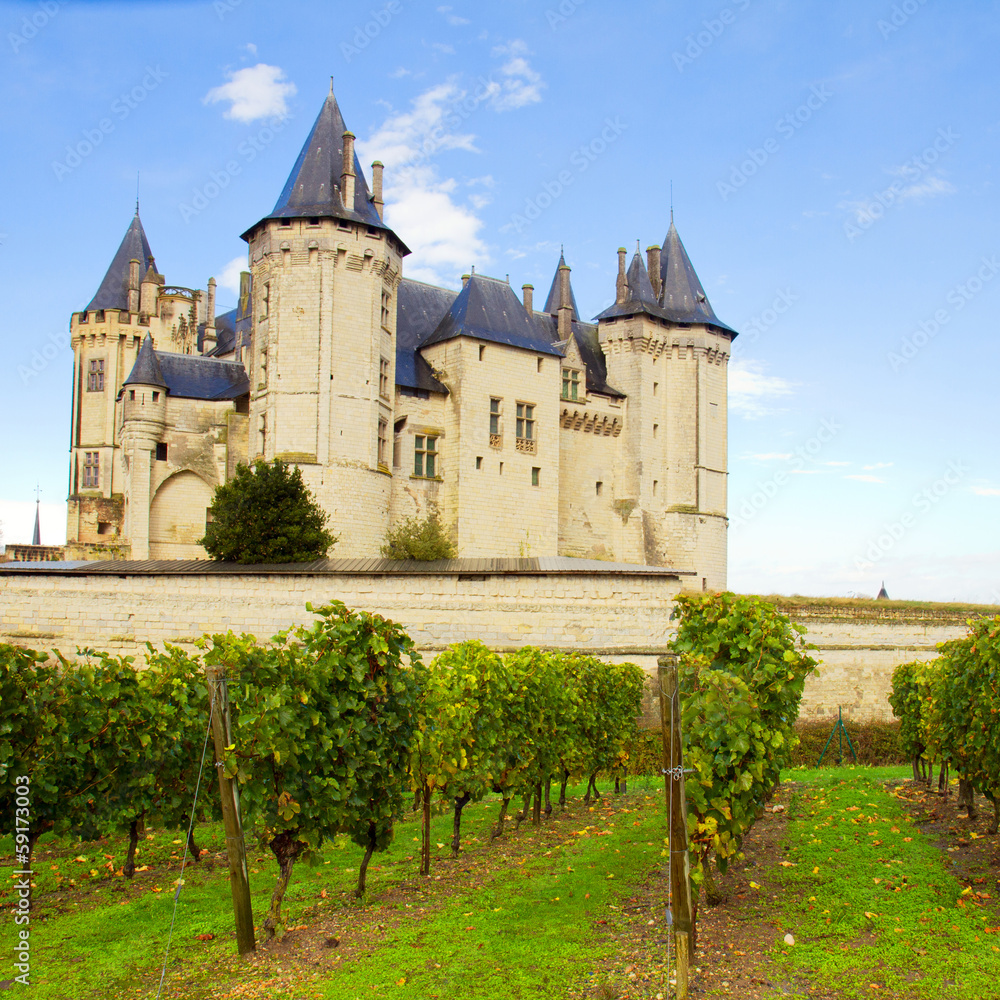 Saumur castle and vineyards