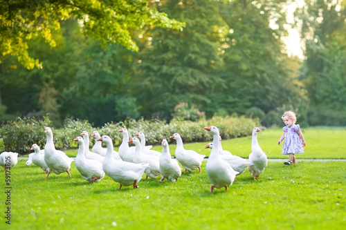 Funny baby girl chasing wild geese in a park in a autumn park photo