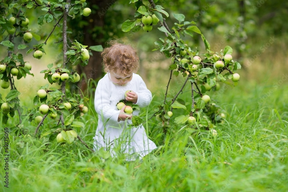 Funny baby girl picking apples in an autumn garden Funny baby girl picking apples in an autumn garden