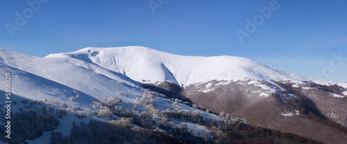 Panorama of Carpathian mountains winter landscape