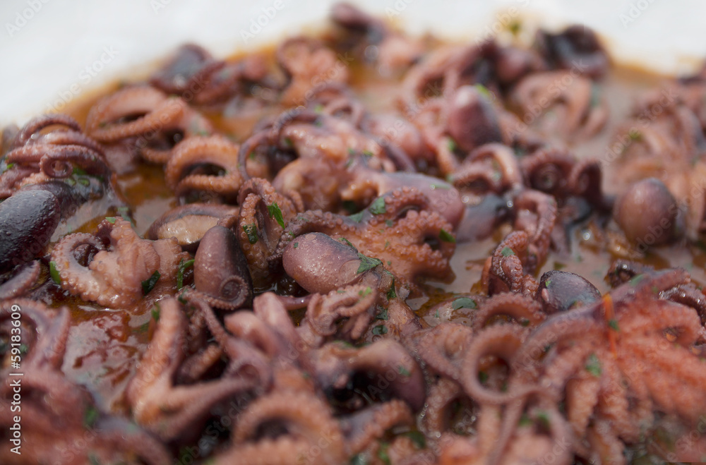 Obraz premium selection of small octopus for italian anti pasti