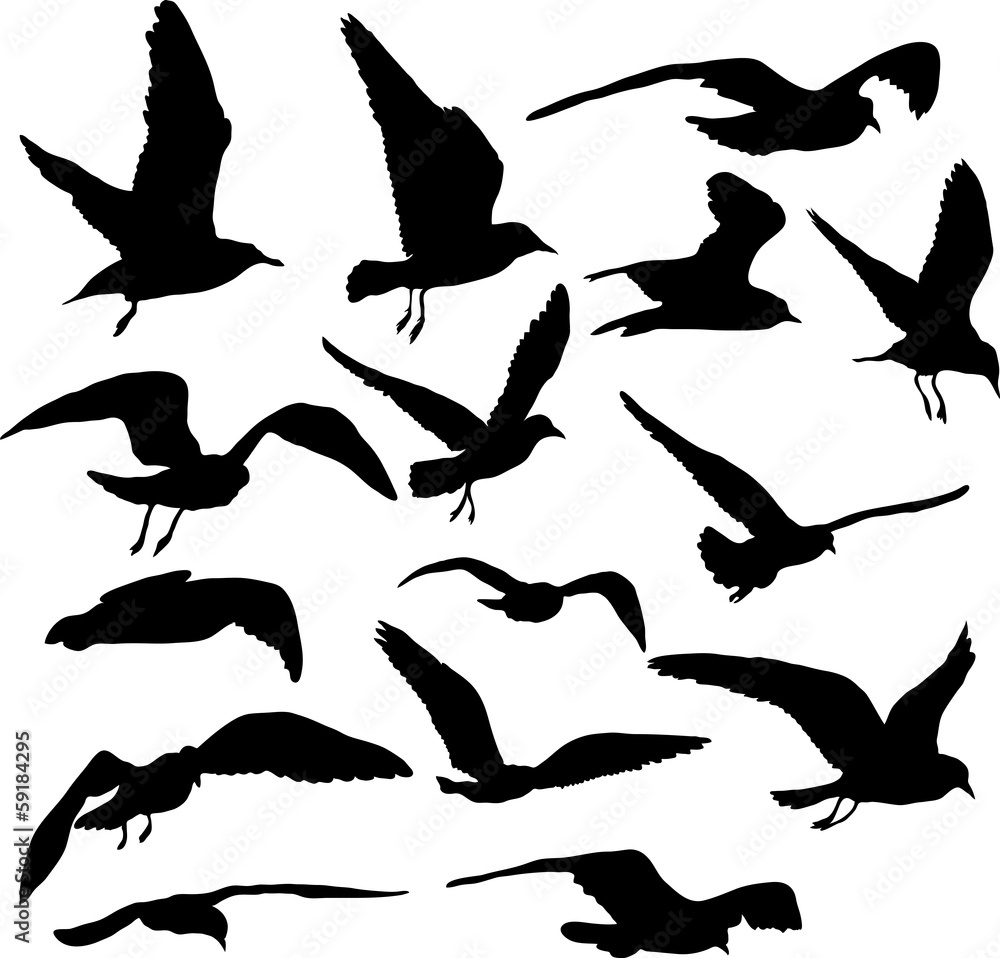 Naklejka premium Vector set of silhouettes of 15 flying seagulls