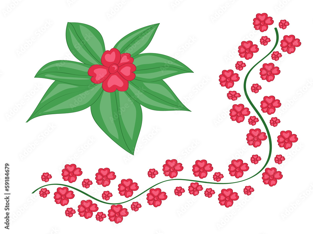 Red flower on green leaves Red flower on green leaves