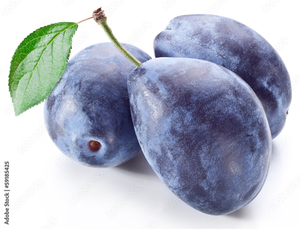 Obraz premium Three plums with leaf.