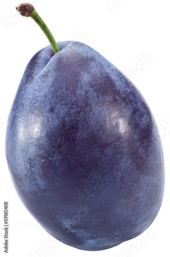One perfect plum.
