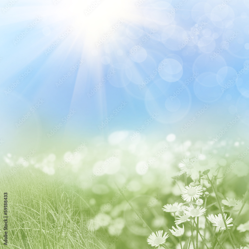 the green leaves and sun on blue sky the green leaves and sun on blue sky