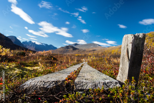 Holzweg in Schweden photo