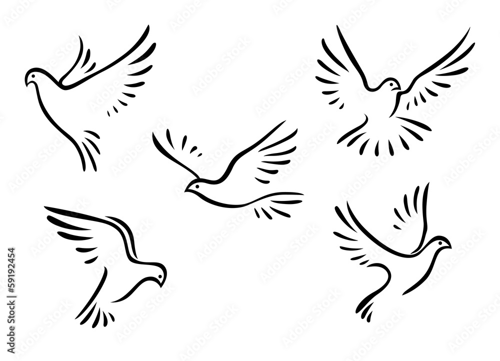 Doves and pigeons set Doves and pigeons set