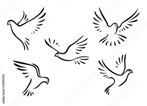 Doves and pigeons set