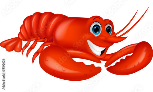 Cute lobster cartoon