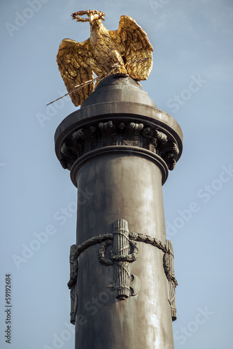 Photography golden eagle