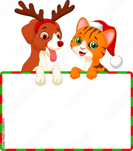 Cute cat and dog holding blank sign