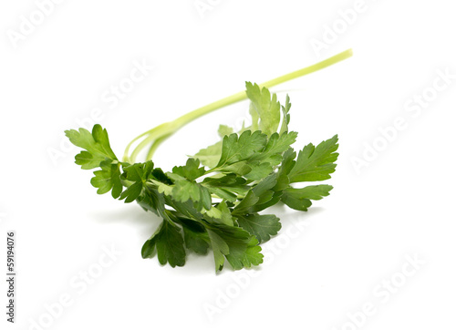 parsley on a white background. macro