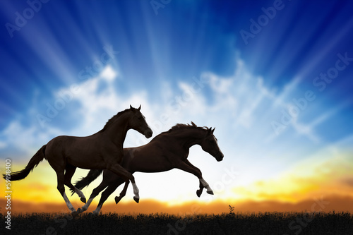 Two running horses © IgorZh