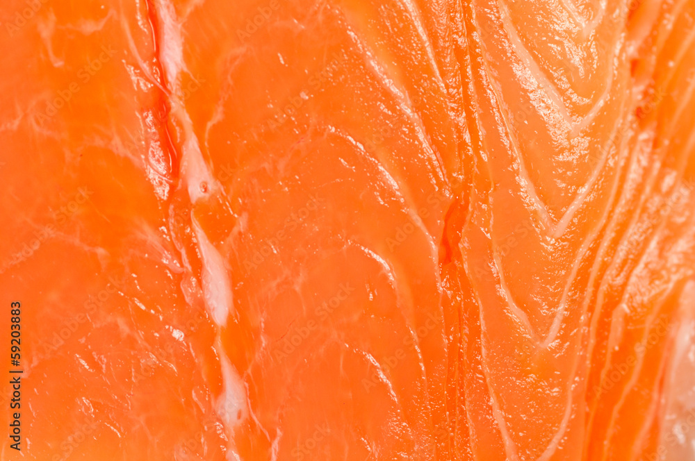 fresh salmon - background