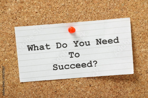 What Do You Need to Succeed? photo