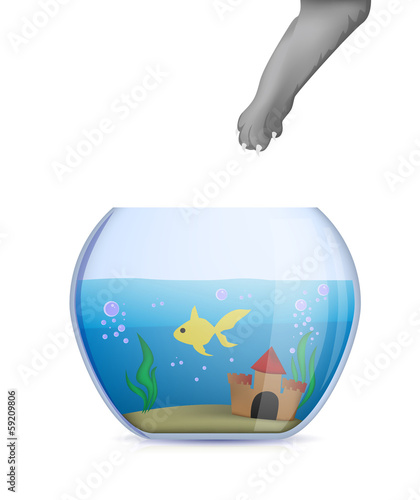 Cat stealing the goldfish