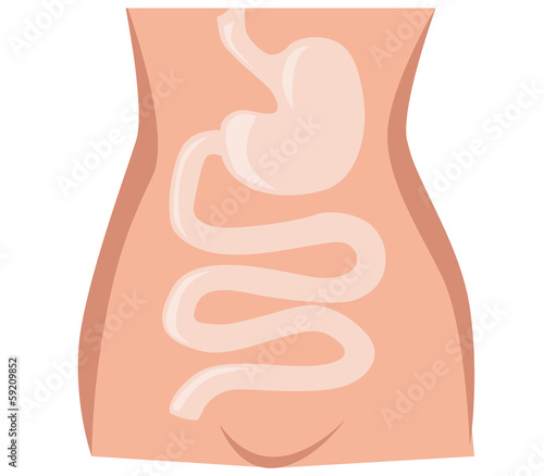 Bowel illustration
