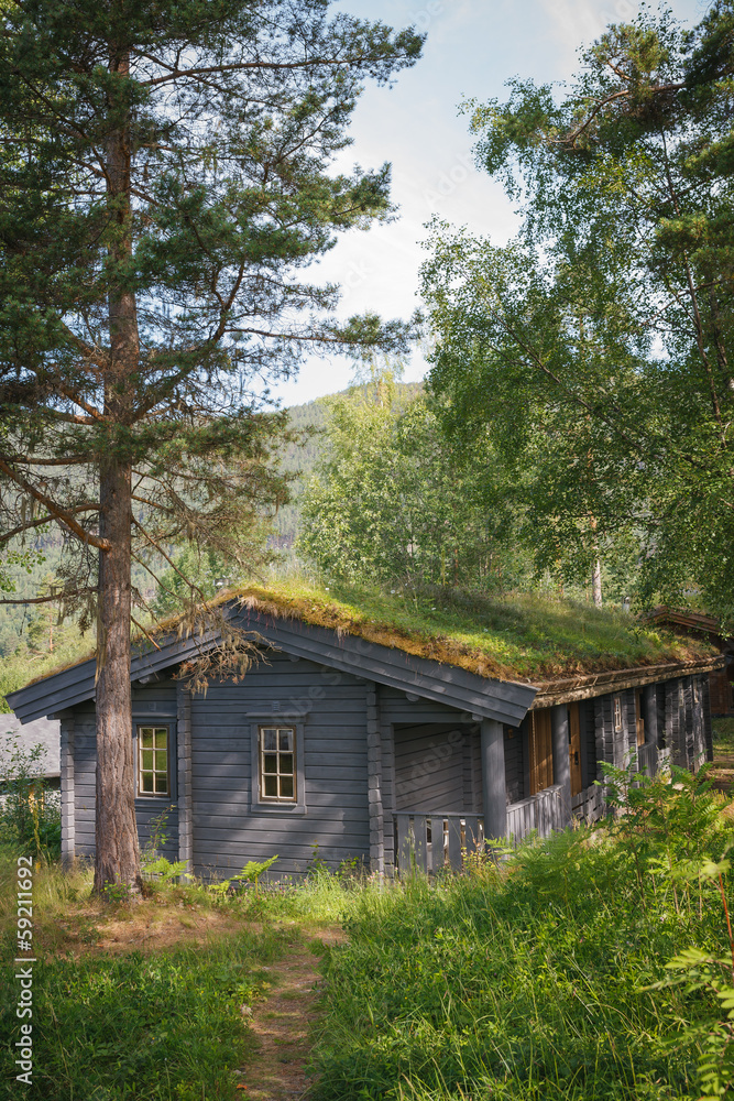 Typical norwegian house with grass on the roof