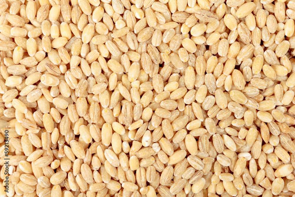 Barley grain Barley grain