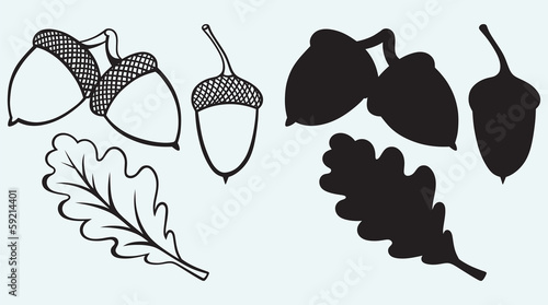 Acorns with leaf isolated on blue background