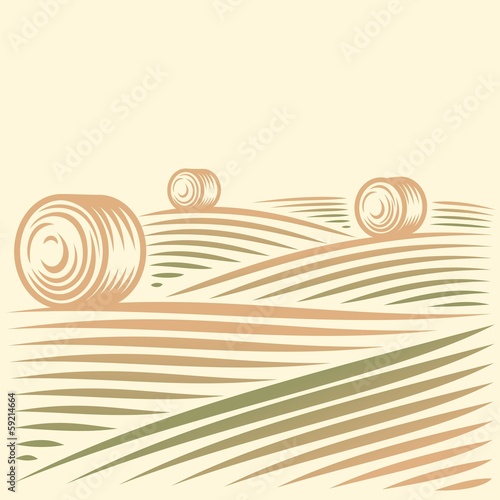 Rural landscape with fields and haystacks