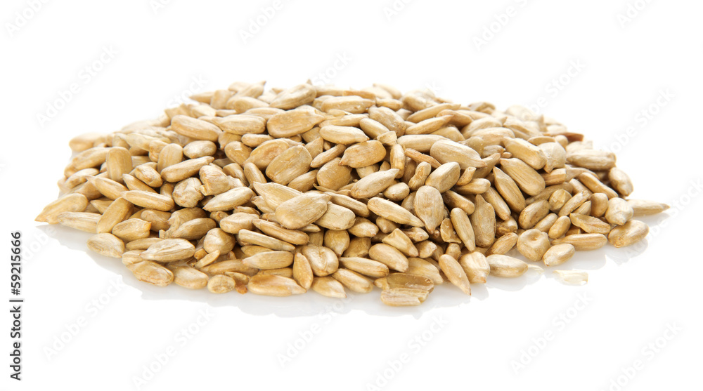 Mount treated seeds of the sunflower Mount treated seeds of the sunflower