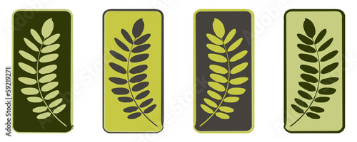 branches feuilles illustration vectorielle