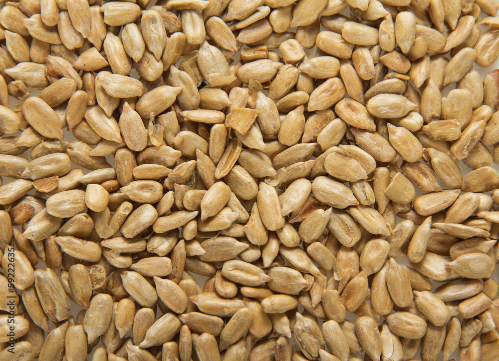 Sunflower grains, close up Sunflower grains, close up