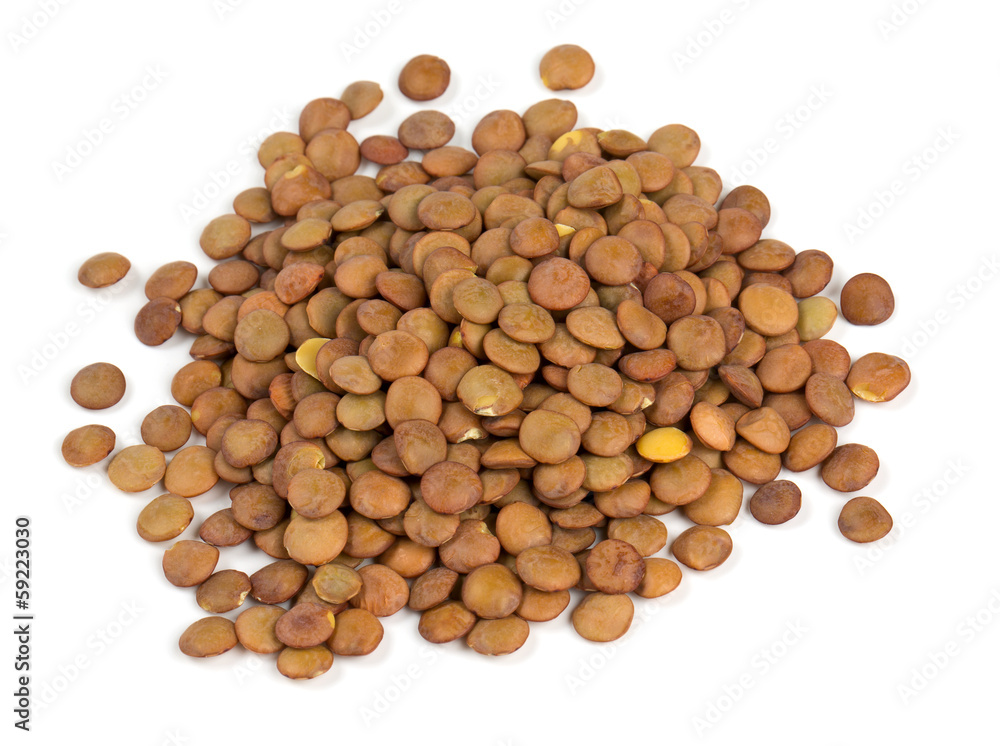 brown lentils isolated on white brown lentils isolated on white
