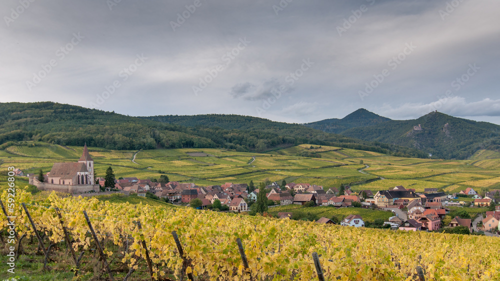 Vignoble en automne en Alsace