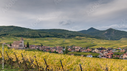 Vignoble en automne en Alsace