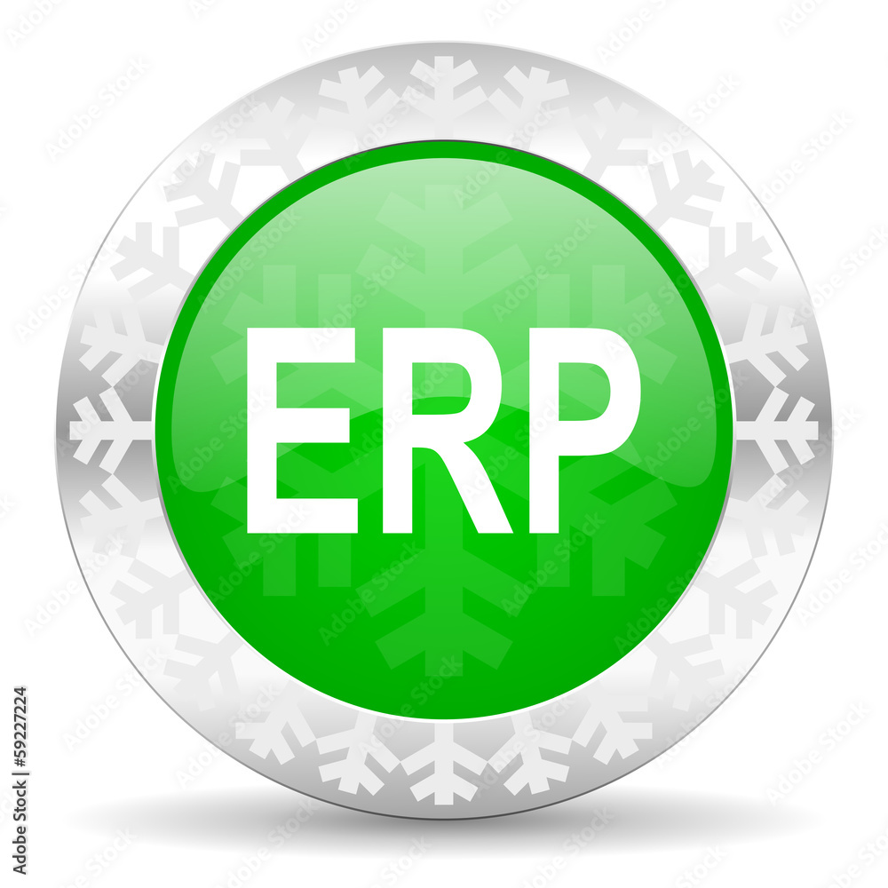 erp icon erp icon