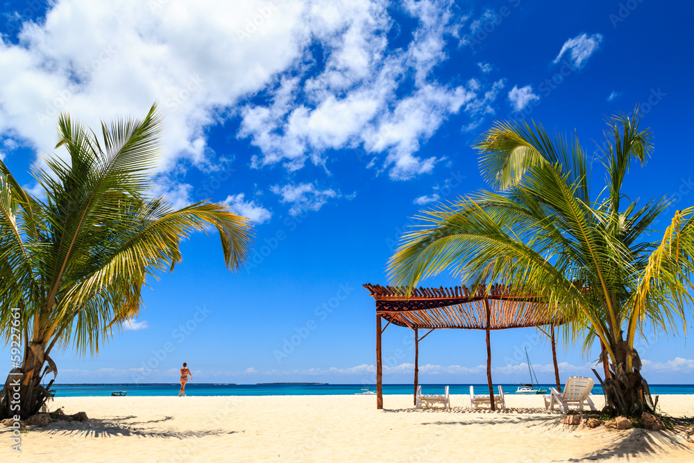 Palm tree and beds on a tropical beach Palm tree and beds on a tropical beach