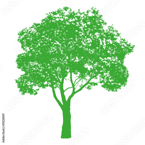 GREEN TREE