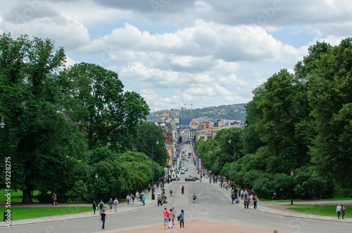 Avenue à Oslo