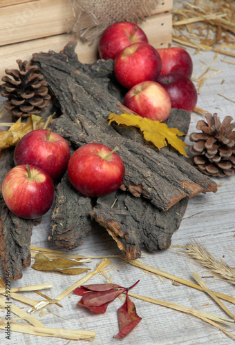 Apples with bark and bumps on wooden background