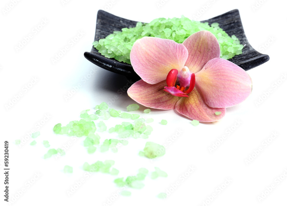 Still life with beautiful blooming orchid flower and heap of Still life with beautiful blooming orchid flower and heap of
