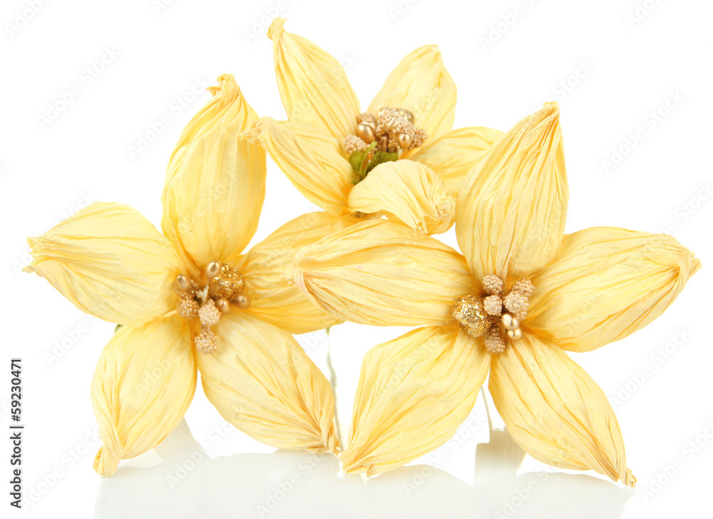 Decorative flowers of straw, isolated on white Decorative flowers of straw, isolated on white