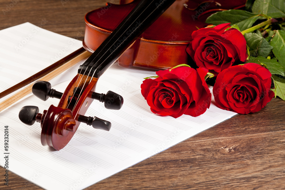 Fototapeta premium Red roses and a violin