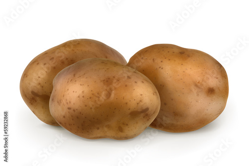 Potatoes, vector illustration